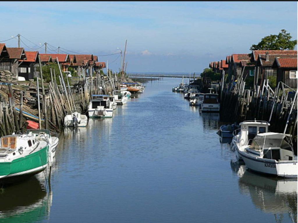 Hotel Particulier - Les Lodges Du Bassin D'Arcachon- Petit-Dejeuner Sur Demande- Prestations Haut De Gamme Gujan-Mestras Bagian luar foto