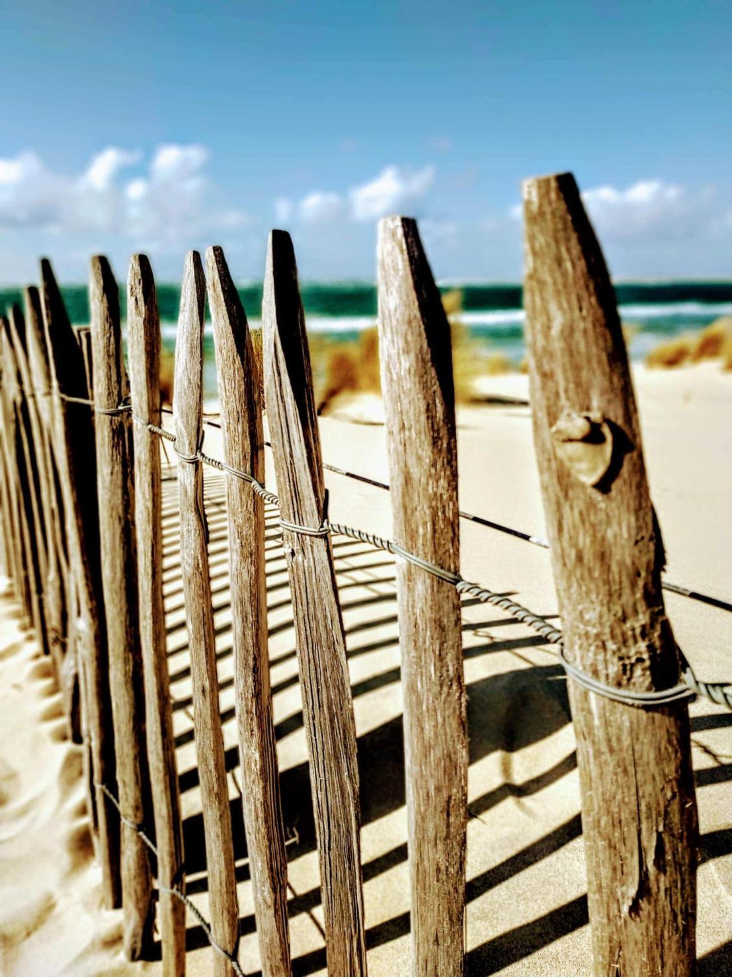 Hotel Particulier - Les Lodges Du Bassin D'Arcachon- Petit-Dejeuner Sur Demande- Prestations Haut De Gamme Gujan-Mestras Bagian luar foto